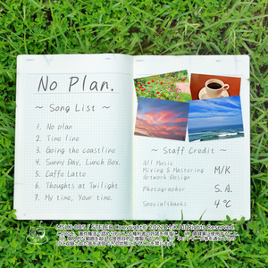 No Plan.