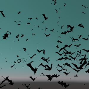 コウモリパーティクル / Simple Bat Particle 缩略图 2