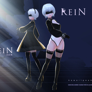 ReiN mod.B