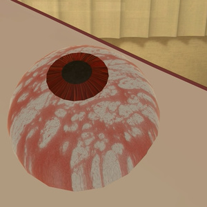 【VRChat想定】外部視力 缩略图 4