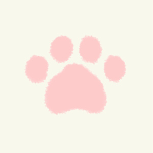 🐾