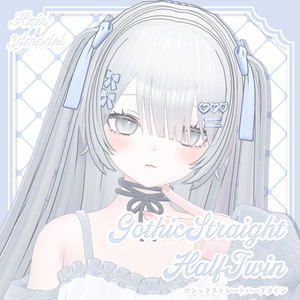 Hair3Dmodel_GothicStraightHalfTwin
