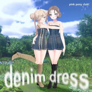 DenimDress