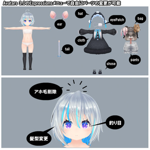 オリジナル３Dモデル:【ラピ＆ラズ　v2.0.1】 缩略图 4