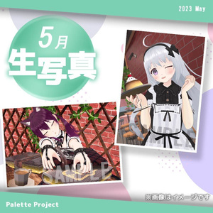 【5月ランダム生写真】Palette Project～メイド編！！〜