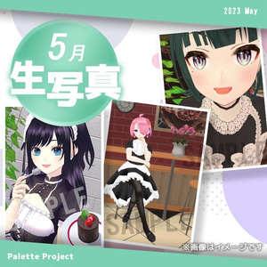【5月ランダム生写真】Palette Project～メイド編！！〜