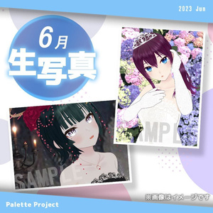 【6月ランダム生写真】Palette Project～ジューンブライド2023編！！〜