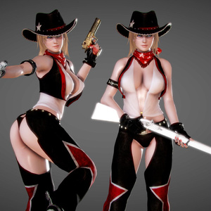 [Honey Select] DOA 5 Last Round Tina costume