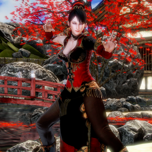 [HS1] Lianshi/トレーナー (Dynasty Warriors 7/ 新三国無双 7)
