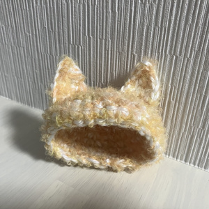 hat with ears