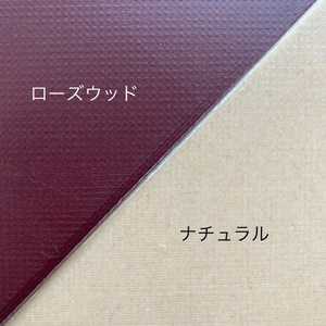 【縦横対応/様々なカードサイズに適応】組立式Dokkoiカードホルダー[高さ280mm]