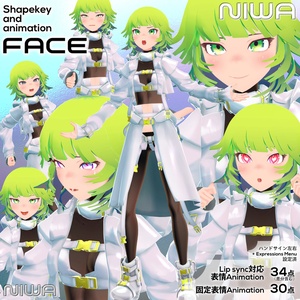 VRCHAT想定3Dモデル「NIWA ーニワー 庭」 缩略图 8
