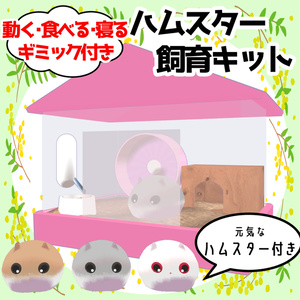 【ワールドギミック】ハムスター飼育キット【ペットギミック】