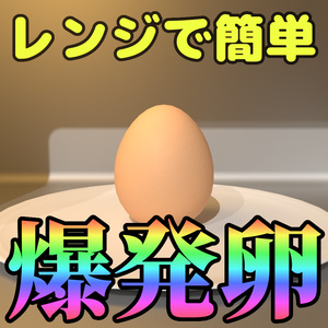 Free] Eggs for microwave use only