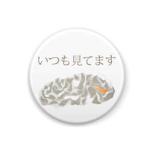 ＴＨＥ　鮭　缶バッヂ　Ａ