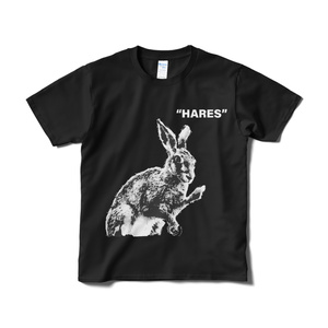 "HARES"