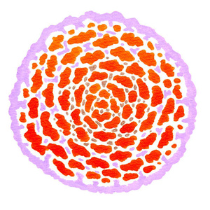 三色の花のセット No.1