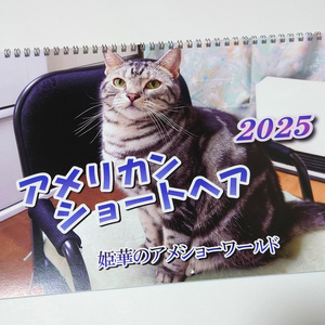 2025年 壁掛け猫カレンダー　姫華のアメショーワールド
