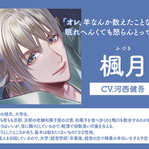 Someone Special～大切な人～Vol.3 瑞木琉（CV.古川慎
