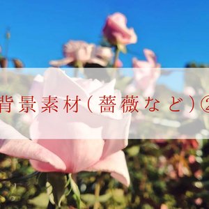 【無料】背景素材（薔薇など）②