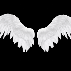 AngelWings -3D-