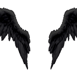 Black Wings - 3D -