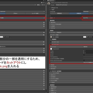 【ノワ(noix)・ディゴル・アンシアグリフォネット対応】PENISO 鳥竜用生殖器(雄) 小 スタンダードタイプ 缩略图 6