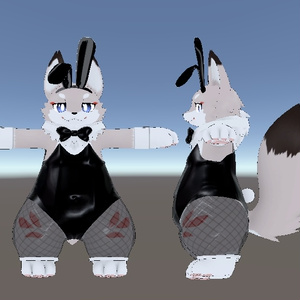 【MA対応】【無料】Bunnie Cloth for flat 缩略图 2