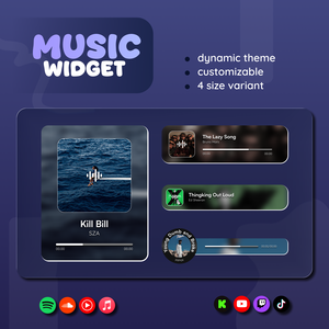 Spotify Music Widget for Streamers | Animated UI, Customize (Digital Download) | V1.0.0