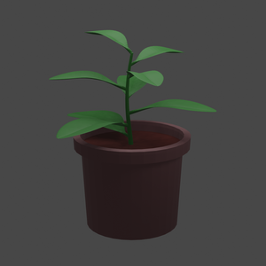 3Dモデル　観葉植物