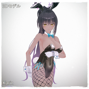 [Karin(Bunny)] PMXモデル配布
