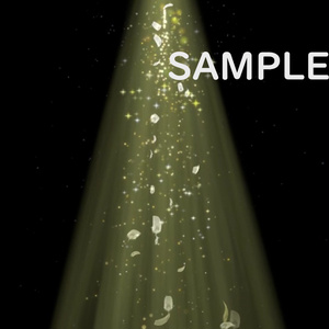 VRChat/UnityEffects] halo effect feather gold flare GoldFlareEffects