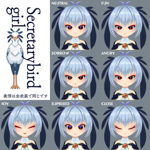 【アニメ風3Dモデル/VRM】鳥の擬人化ヘビクイワシ
