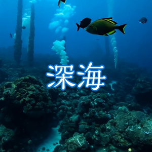 深海。フリー動画素材19点詰め合わせセット