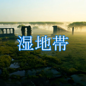 湿地帯。フリー動画素材20点詰め合わせセット