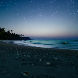 夜の浜辺の動画。4K高画質版