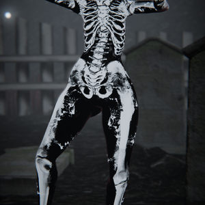 Skelly body suit and jacket texture for Nio
