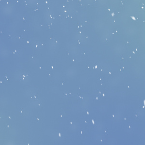 【クレジット表記不要の高解像度版】リアルな雪が降るループ背景素材【冬&クリスマス】[High-res version with no attribution required] Realistic Snow Falling Background for the Winter and Christmas Season, Loop
