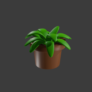 美しい植物は、家の中の快適さの鍵です。
