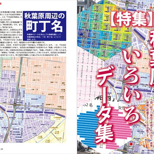 秋葉に住む VOL.29