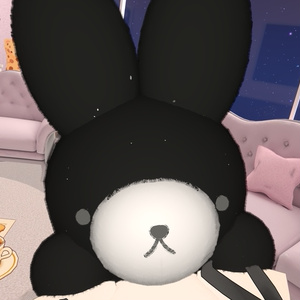 🐰あたまのりのりうさぎ🐰