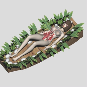 人体家具：女体盛り