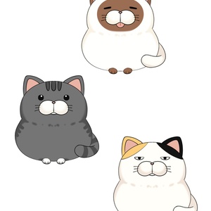 Vtuber 소재 _ 고양이를 놓는 소재