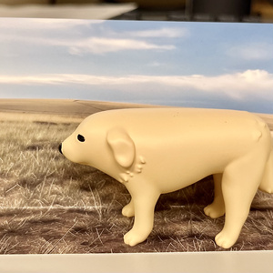 モンゴルの犬【3Dデータ】