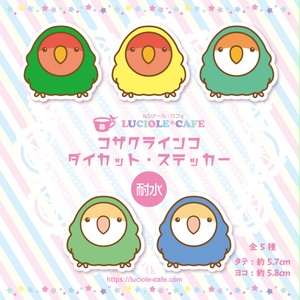コザクラインコ・耐水ステッカー