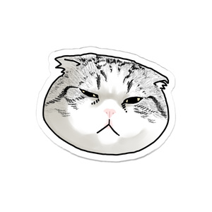 ジムバッジ