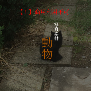 無料 ニューヨークの教会ａ ５１点 Comict Booth