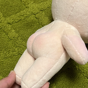 イエロー垂れ耳うさぎꪔ̤̮