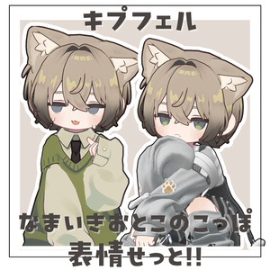 Sassy Boyish Expression Set - 36 Types [Kipfel]