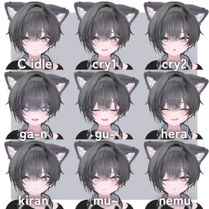 【chocolat専用】ショコラくん化BlendShapes/表情アニメーションセット 缩略图 4